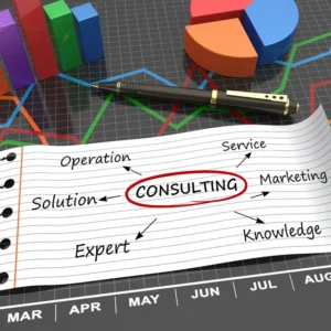 VIP Business Launch Mentorship